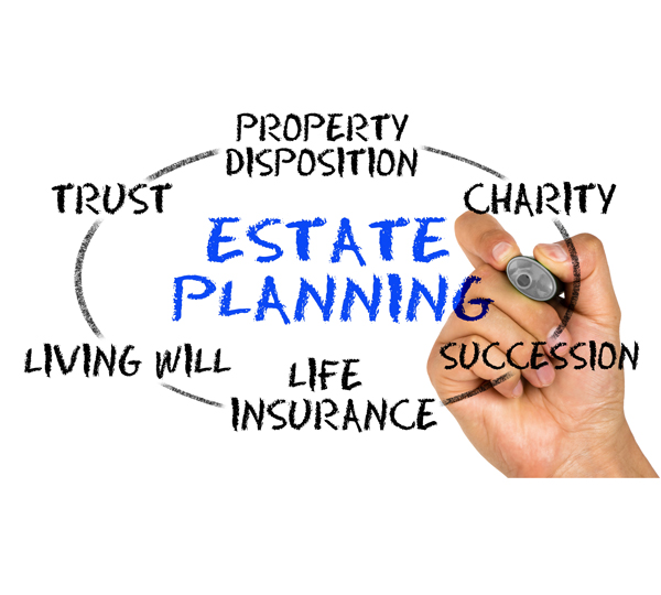 Estate-Plan-600×540